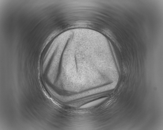 X0000054360994200508262310