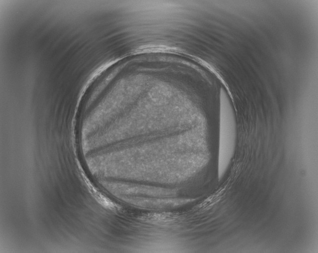 X0000054360995200508262310