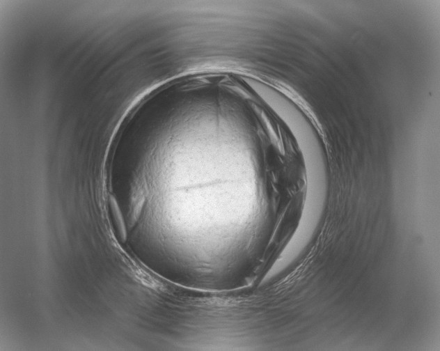 X0000054360996200508262310