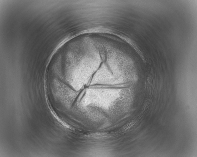 X0000054360998200508262310