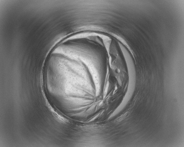 X0000054360999200508262310