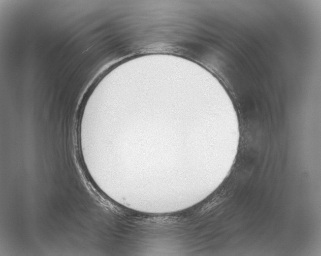 X0000054361000200508262310
