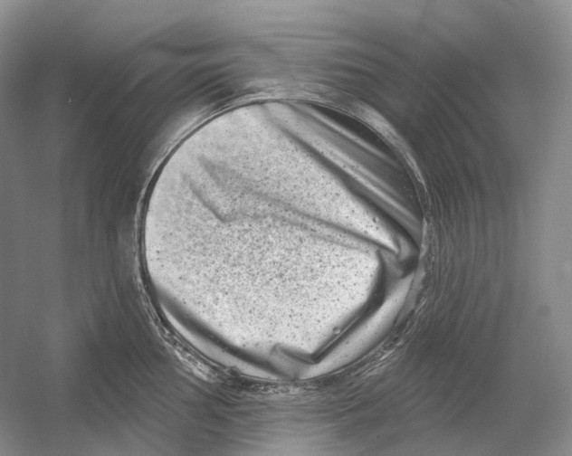 X0000054361002200508262310