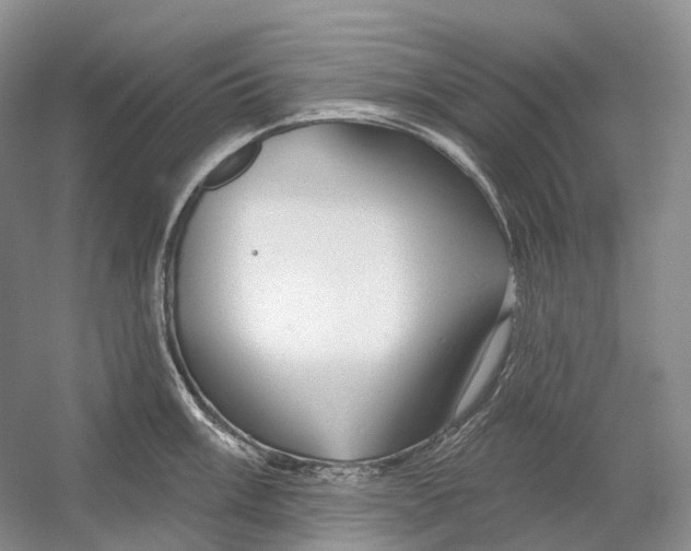 X0000054361003200508262310