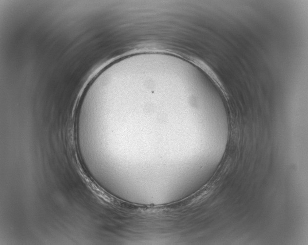 X0000054361004200508262310