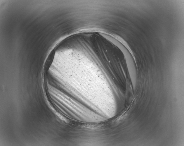 X0000054361005200508262310