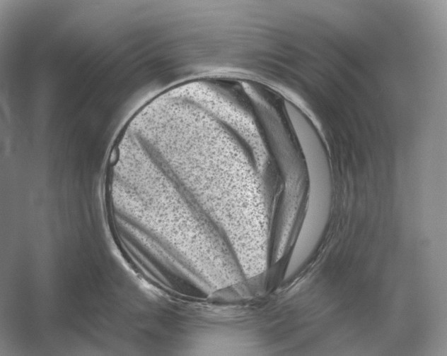 X0000054361007200508262310