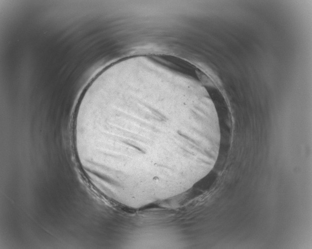 X0000054361008200508262310
