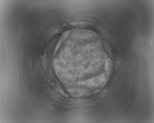 X0000054361010200508262309