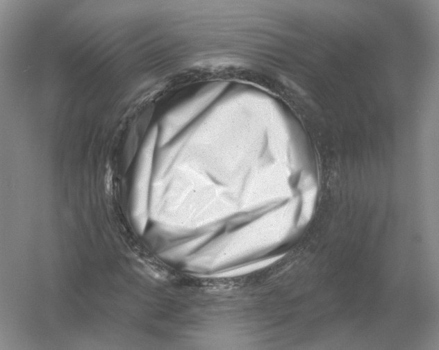 X0000054361014200508262309