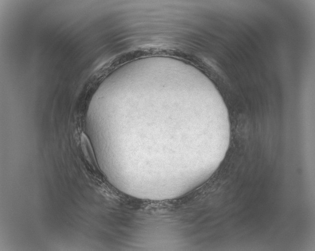X0000054361015200508262309