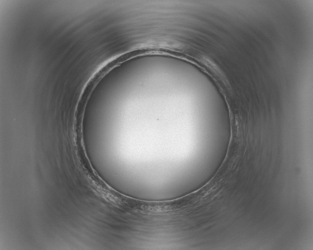 X0000054361020200508262309