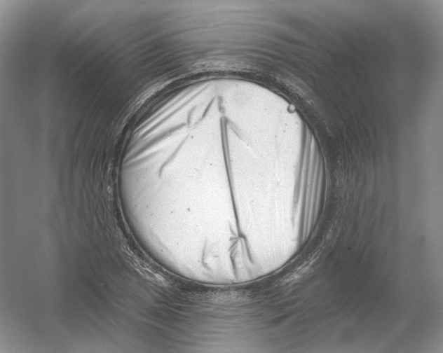 X0000054361025200508262309