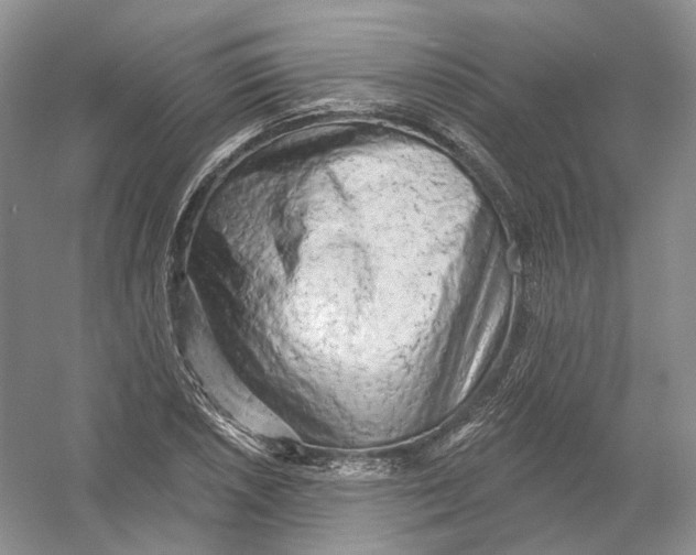 X0000054361026200508262309
