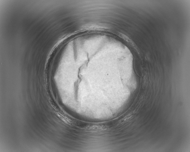 X0000054361027200508262309