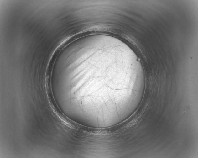 X0000054361029200508262309