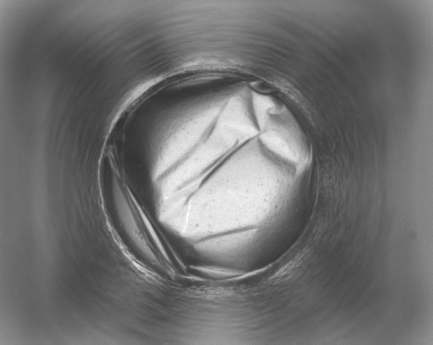 X0000054361030200508262309