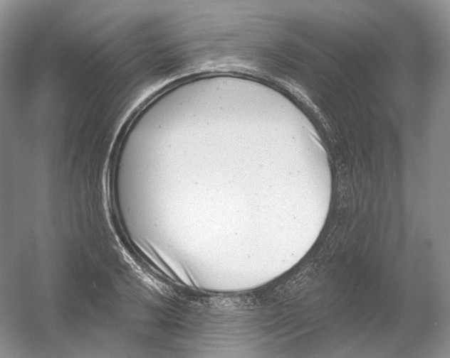 X0000054361032200508262309