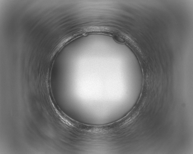 X0000054361033200508262309