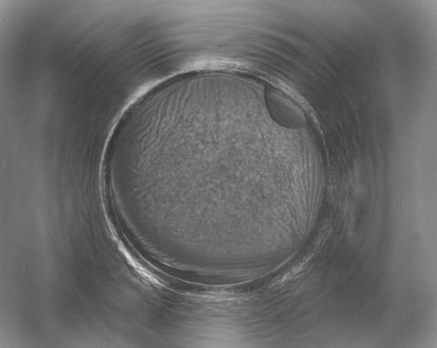 X0000054361037200508262309