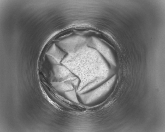 X0000054361038200508262309