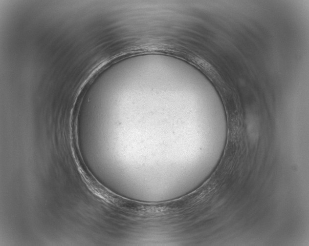 X0000054361039200508262309