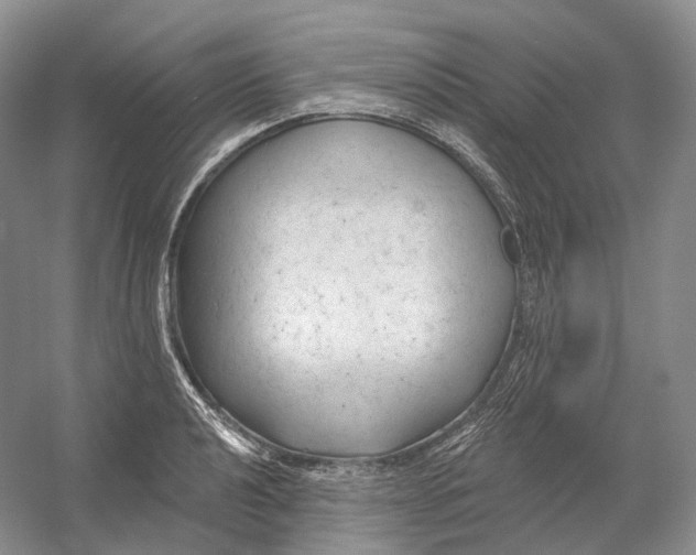 X0000054361040200508262309