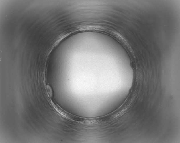 X0000054361041200508262309