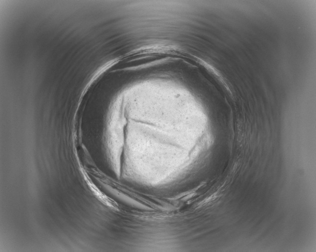 X0000054361042200508262309