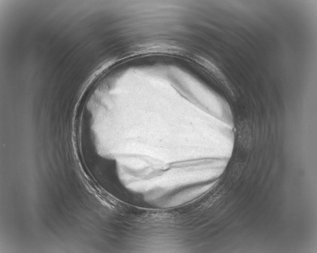 X0000054361043200508262309
