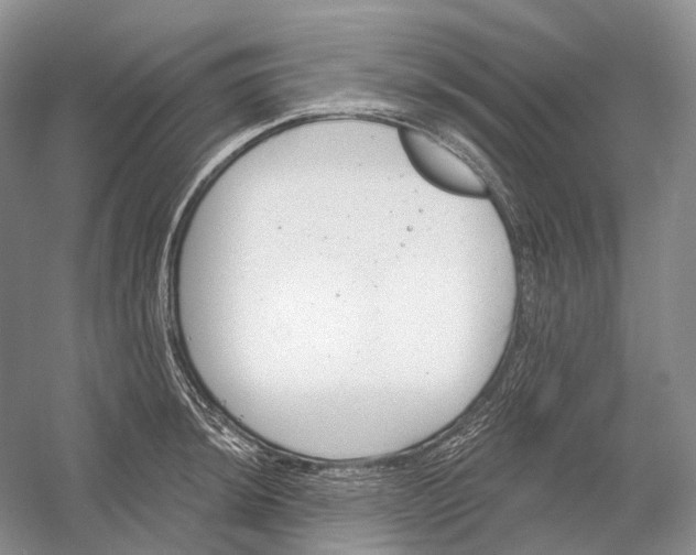 X0000054361044200508262309
