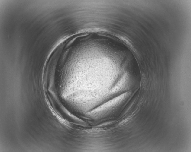 X0000054361046200508262309