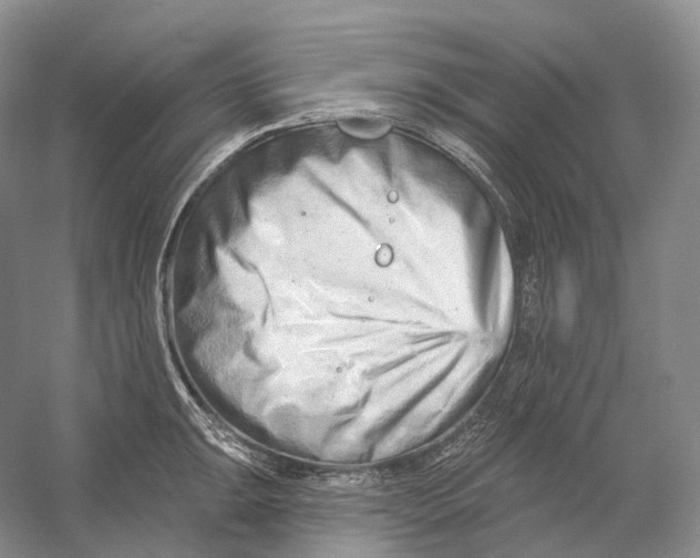 X0000054361047200508262309