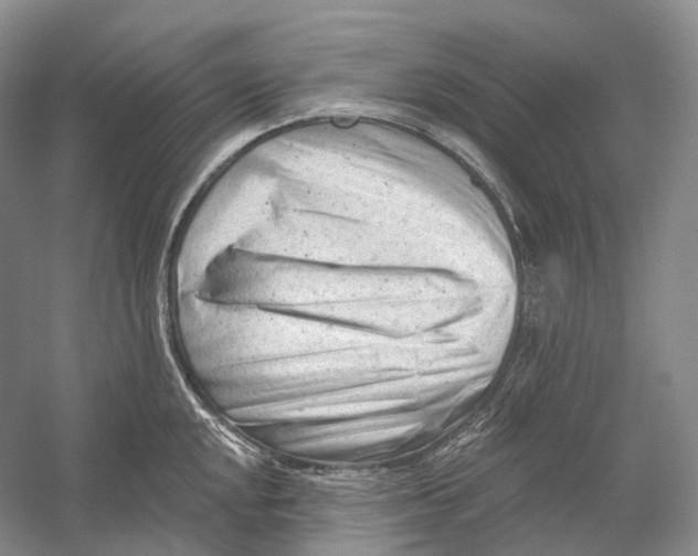 X0000054361048200508262309