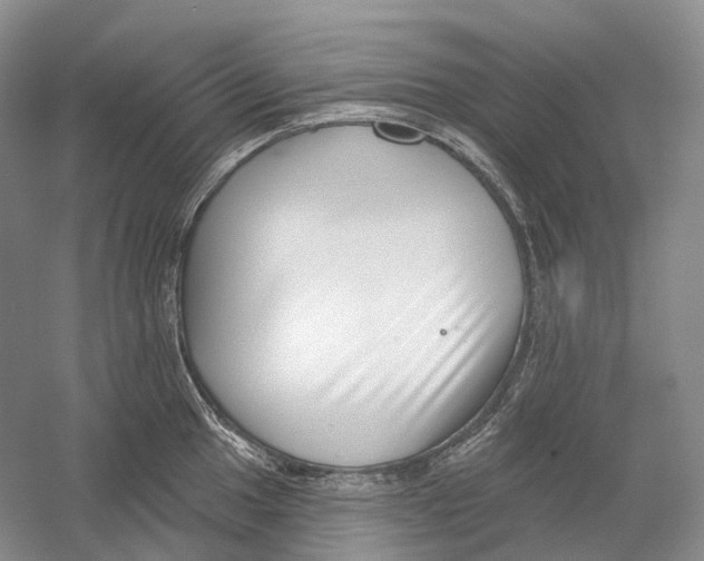 X0000054361049200508262309