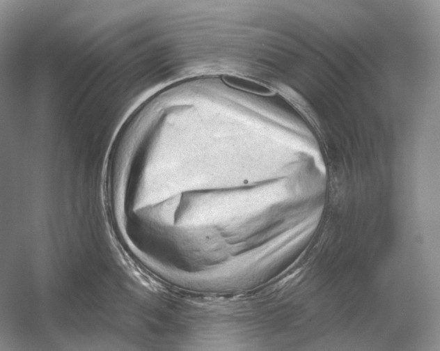 X0000054361052200508262310