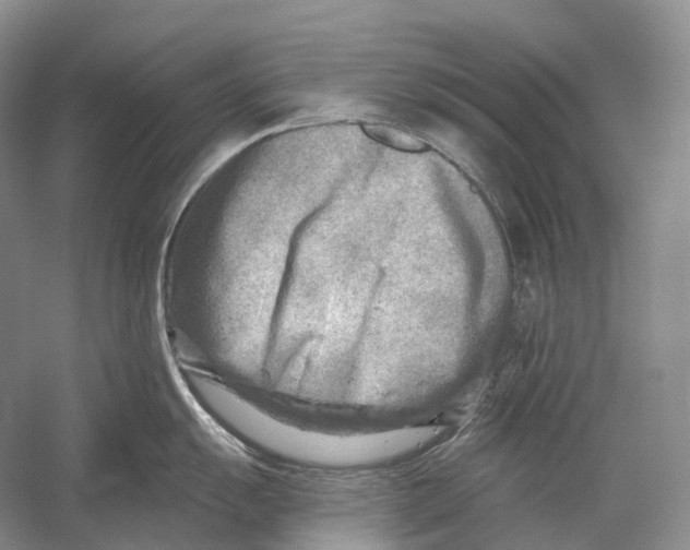 X0000054361055200508262310