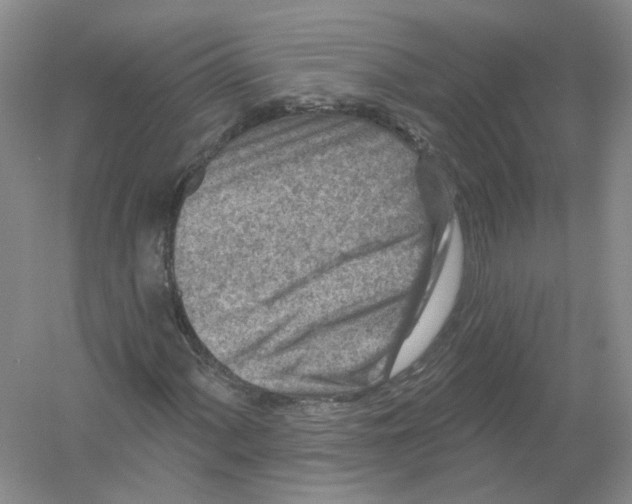 X0000054361060200508262309