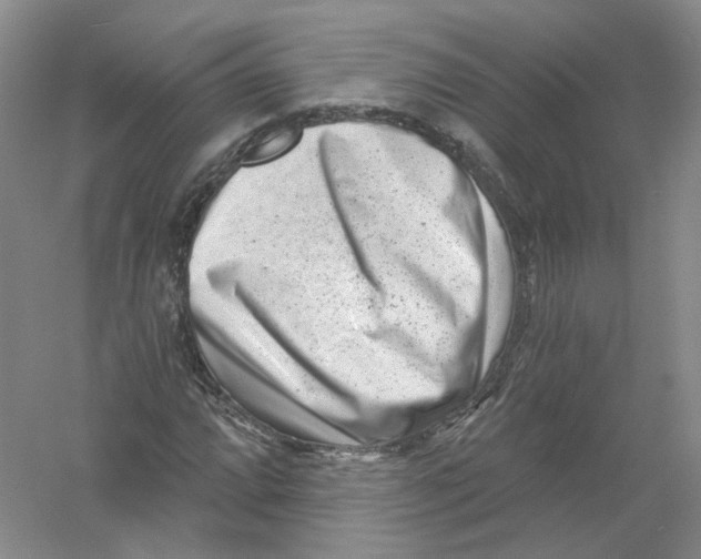 X0000054361064200508262309