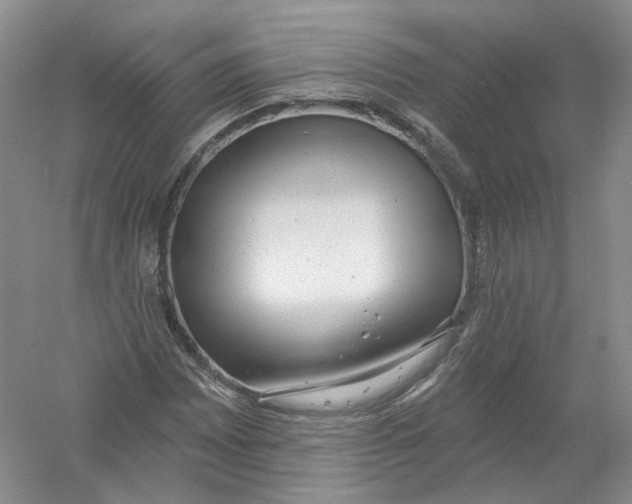 X0000054361065200508262309