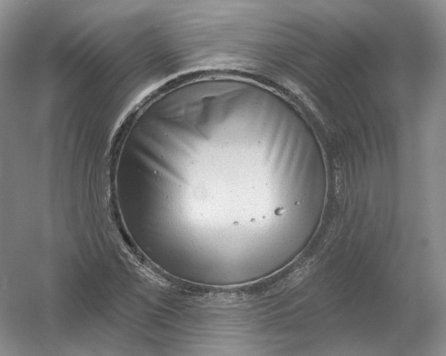 X0000054361069200508262309
