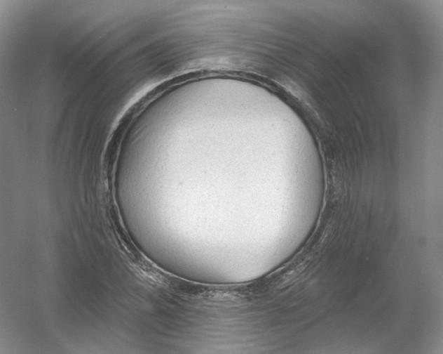 X0000054361070200508262309