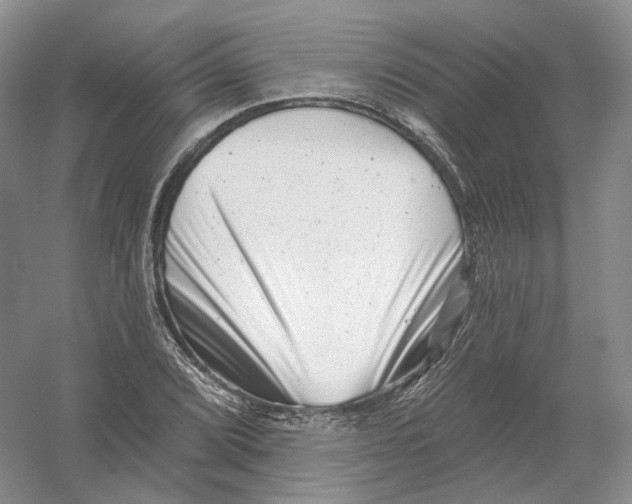 X0000054361072200508262308