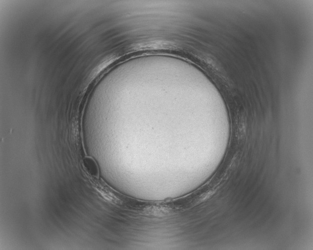X0000054361073200508262308