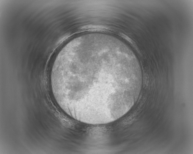 X0000054361074200508262308