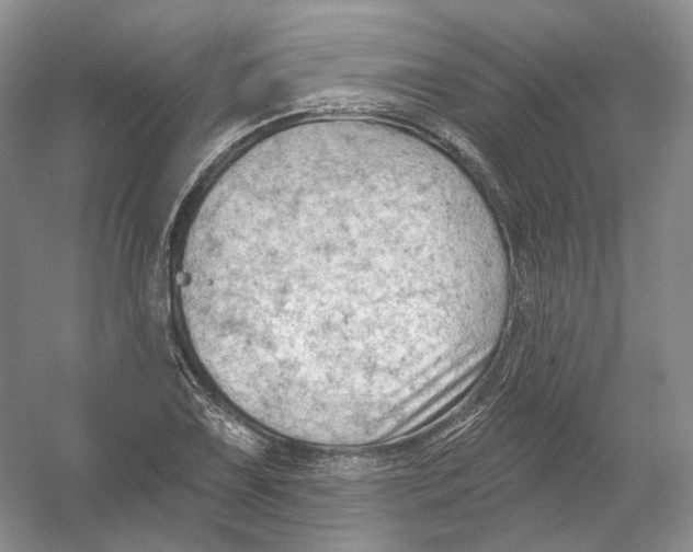X0000054361075200508262308