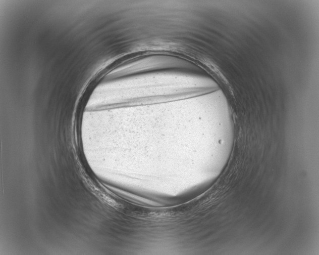 X0000054361080200508262308