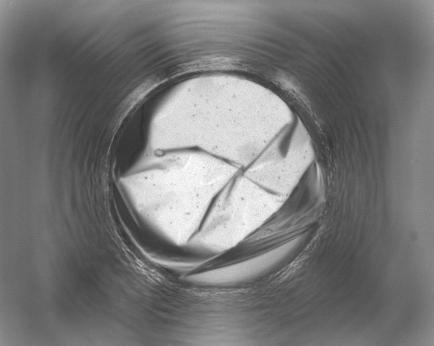 X0000054361081200508262308