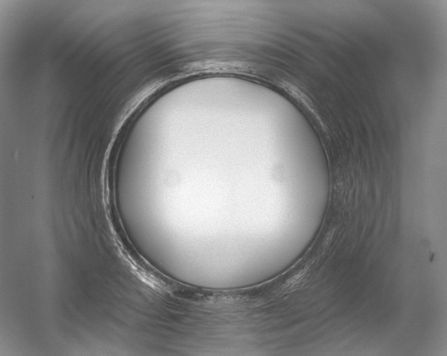 X0000054361082200508262308