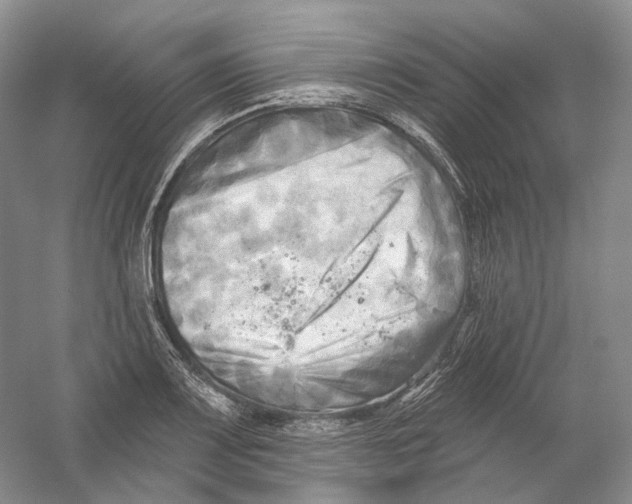 X0000054361083200508262308